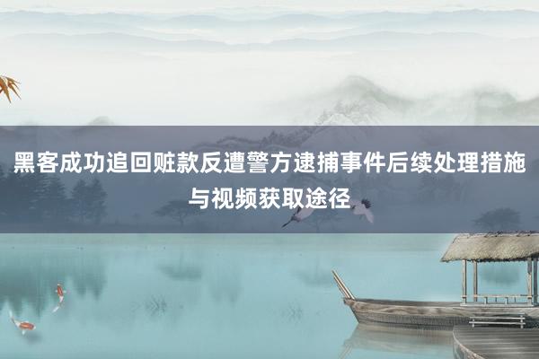 黑客成功追回赃款反遭警方逮捕事件后续处理措施与视频获取途径