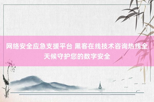 网络安全应急支援平台 黑客在线技术咨询热线全天候守护您的数字安全