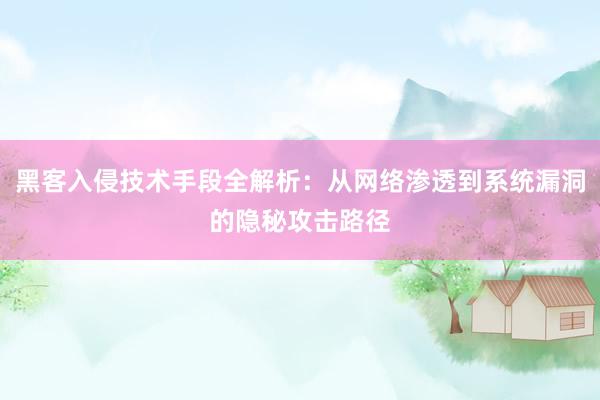 黑客入侵技术手段全解析：从网络渗透到系统漏洞的隐秘攻击路径